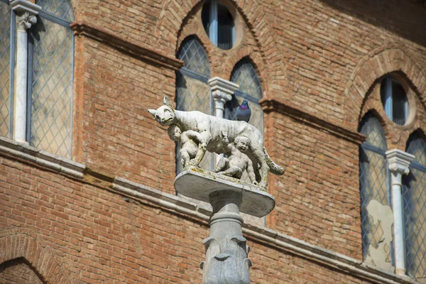 Lupa Senese Wölfin Von Siena Mit Senio Und Ascanio Söhnen — Stockfoto