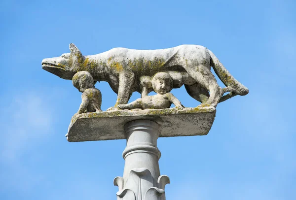 Lupa Senese Loba Siena Com Senio Ascanio Filhos Remo Fundadores — Fotografia de Stock