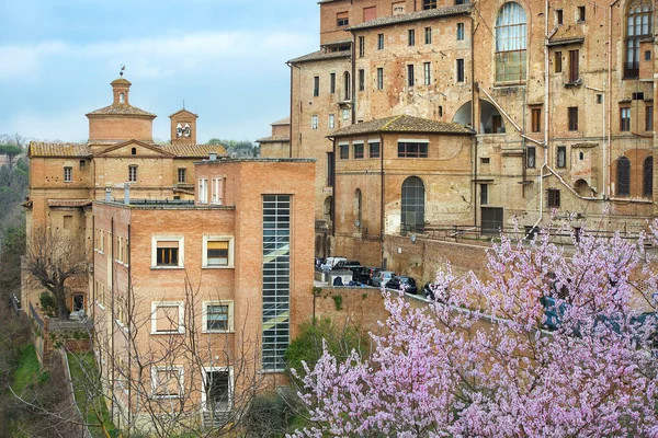 Vista Las Casas Medievales Zona Cerca Catedral Siena Ciudad Vieja —  Fotos de Stock