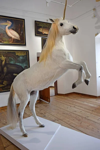 Salzburgo Austria Mayo 2019 Animales Míticos Unicornio Sala Unicornio Museo —  Fotos de Stock