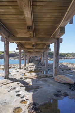 Sydney kıyı yürüyüşü: ünlü Çıplak Ada, Kamay Botany Bay Ulusal Parkı, Yeni Güney Galler, Avustralya 'ya tahta yaya köprüsü