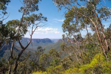 Grose Valley manzarası Govetts Leap Lookout, Blue Mountains National Park, New South Wales, Avustralya