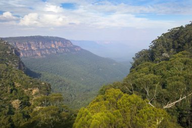 Blue Mountains Ulusal Parkı, Grose Valley 'in muhteşem manzarası, NSW, Avustralya