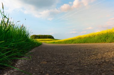 asfalt yol alan aracılığıyla