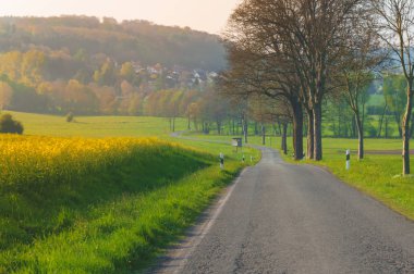 güneş ışığı alanında yol