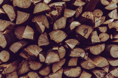 Ormanda yaptı yakacak odun 