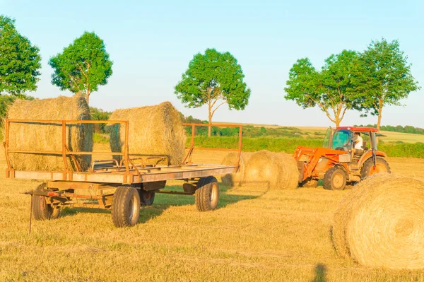 The tractor collects hay on the field