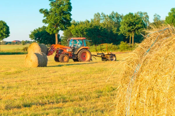 A traktor a mező összegyűjti a széna — Stock Fotó