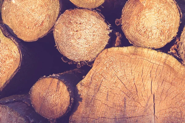 Üst üste yığılmış yuvarlak odun