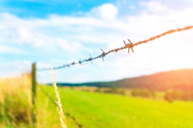 Dikenli Tel ile Çit 