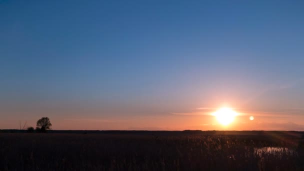 Timelapse. Pôr do sol sobre o campo e pequena lagoa.Árvore Lonley no lado esquerdo . — Vídeo de Stock