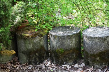 Eski çit Moss ile büyümüş