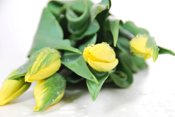 Tulipe dans le bouquet le jour de la fête des mères — Photo