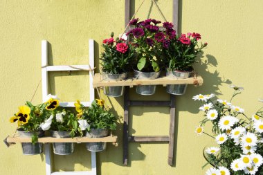 Anneler günü için güzel çiçekler