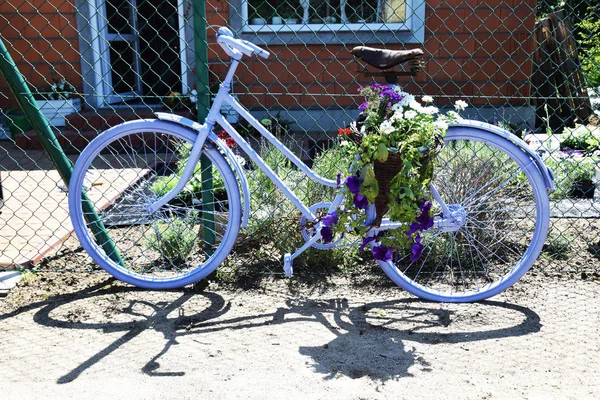 Bicycle with a basket of flowers standing by the fence — Stock Photo, Image