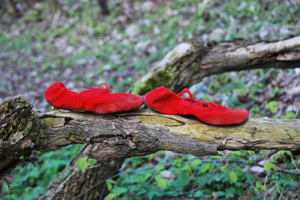 Eski kırmızı Bale ayakkabıları — Stok fotoğraf