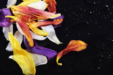 Kuru çiçek yaprakları ile polen