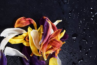 Kuru çiçek yaprakları ile polen