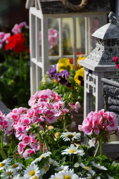 Schöne Blumen zum Muttertag — Stockfoto