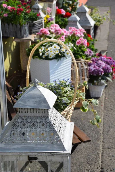 Schöne Blumen zum Muttertag — Stockfoto