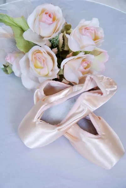 Yeni bale terlik tül ile klasik dans için elbise