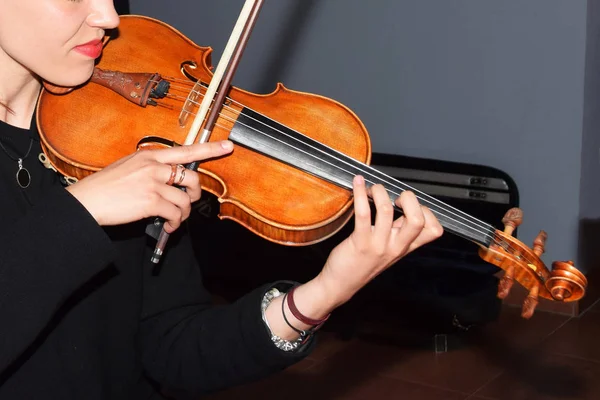 Симфонічний оркестр для скрипки альта та віолончелі — стокове фото