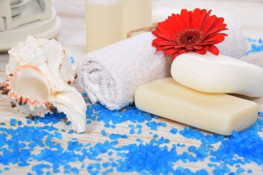 Kırmızı gerber çiçek ile deniz tuzu banyo ve mini şampuan için mavi bir