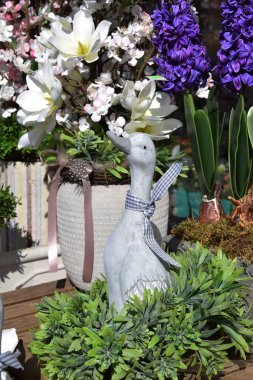 renkli çiçekler, Paskalya dekorasyon yanındaki gri ördek