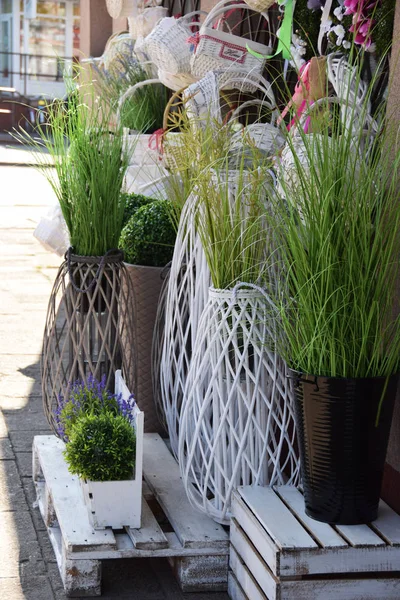 Dekorationstöpfe und Gras vor einem Blumenladen zu Ostern — Stockfoto