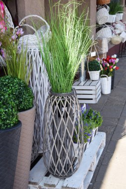 Dekoratif tencere ve Paskalya bir çiçekçi dükkanı önünde çim