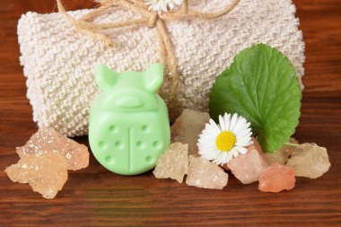 Çocuklar için uğurböceği şeklinde yeşil küçük sabun