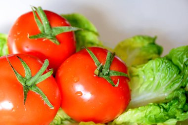 Marul yapraklı taze kırmızı domatesler