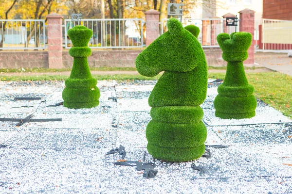 Minsk Bělorusko Září 2019 Šachové Figurky Pokryté Trávou — Stock fotografie