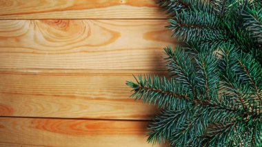 Ahşap arka planda doğal ladin dalları. Düz konum, üst görünüm, kopyalama alanı