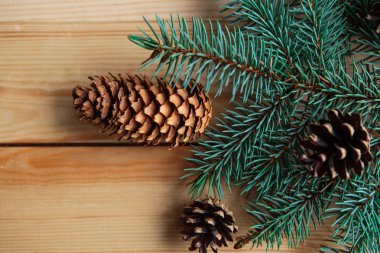 Ahşap kaplamalı doğal ladin dalları. 