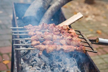 Parktaki bir tırmıkta barbekü.