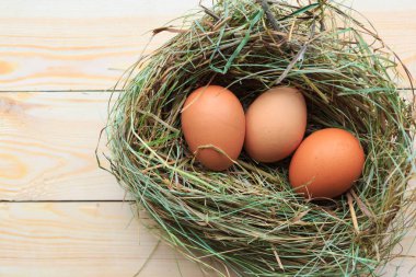 Samanlıkta üç çiğ yumurta. Paskalya konsepti