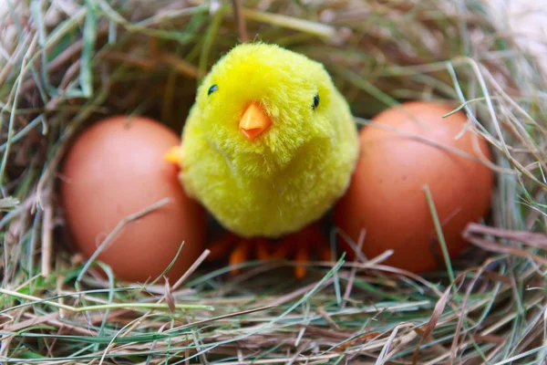 在干草窝里生蛋和玩具鸡 复活节概念 — 图库照片