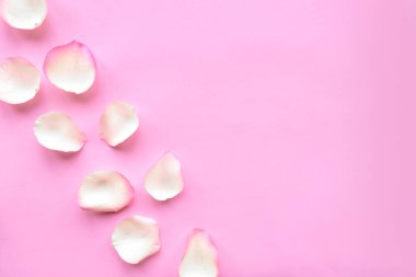  Pastel pembe arka planda gül yaprakları. Sevgililer Günü ya da düğün konsepti. Güzel tebrik kartı.