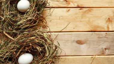 Tavuk yumurtalı kuru saman yuvası, üst manzara. Paskalya konsepti. Metin için alanı kopyala