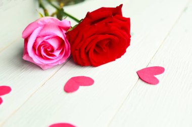 Beyaz arka planda pembe ve kırmızı güller. Metin için alanı kopyala