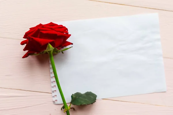 Red Rose White Mockup Paper Blank Wooden Background Flat Lay — Stock Photo, Image