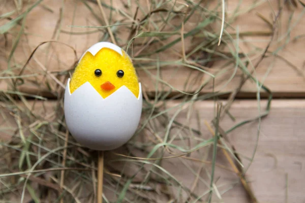 Toy chicken on wooden background. Easter concept