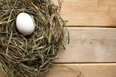 Saman yuvasında tavuk yumurtasıyla çekilmiş düz bir fotoğraf. Paskalya konsepti. Boşluğu kopyala
