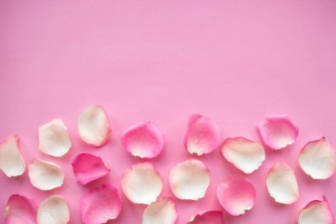 Pembe arka planda beyaz ve pembe gül yaprakları. Metin için alanı kopyala