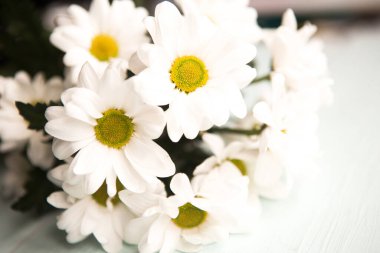 Güzel bir buket beyaz kasımpatı, yakın plan.