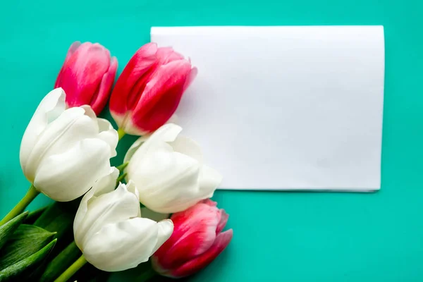 Bouquet of red and white tulips and white mockup blank on bright green background, copy space for the tex