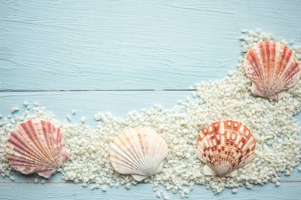 Seashells Areia Fundo Madeira Azul Espaço Cópia Para Texto Conceito — Fotografia de Stock