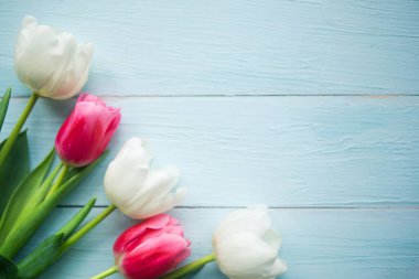 Ahşap arka planda pembe ve beyaz laleler. Düz konum, üst görünüm, kopyalama alanı. Paskalya ya da Anneler Günü tebrik kartı