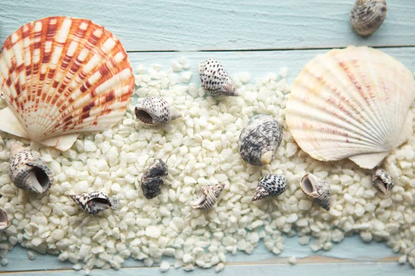 Seashells Areia Fundo Madeira Azul Conceito Férias Verão — Fotografia de Stock